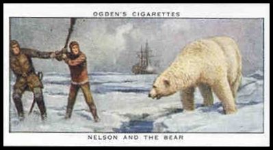 12 Nelson and the Bear